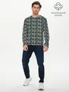 Мужской лонгслив базовый / Прекрасный Ара (P007_P004ooo2863187, P004ooo2863187)
