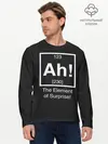 Мужской лонгслив базовый / The Element of Surprise (P007_P004ooo2865411, P004ooo2865411)