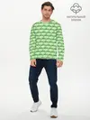 Мужской лонгслив базовый / милые лягушки (P007_P004ooo2872073, P004ooo2872073)