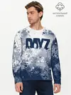 Мужской лонгслив базовый / DayZ (P007_P004ooo2872629, P004ooo2872629)
