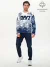 Мужской лонгслив базовый / DayZ (P007_P004ooo2872629, P004ooo2872629)