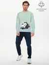 Мужской лонгслив базовый / акварельные панды (P007_P004ooo2873451, P004ooo2873451)