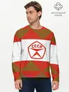 Мужской лонгслив базовый / Советское печенье (P007_P004ooo2875579, P004ooo2875579)