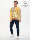 Мужской лонгслив базовый / Doge Wow (P007_P004ooo2879893, P004ooo2879893)