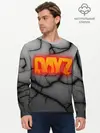 Мужской лонгслив базовый / DAYZ (P007_P004ooo2879401, P004ooo2879401)