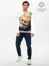 Мужской лонгслив базовый / Лиса (P007_P004ooo2881613, P004ooo2881613)