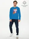 Мужской лонгслив базовый / Тигр (P007_P004ooo2885375, P004ooo2885375)