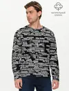 Мужской лонгслив базовый / Эвфемизмы анонимуса (P007_P004ooo2886479, P004ooo2886479)