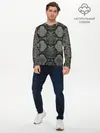 Мужской лонгслив базовый / Змеиная чешуя (P007_P004ooo2887329, P004ooo2887329)