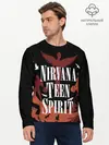 Мужской лонгслив базовый / NIRVANA TEEN SPIRIT (P007_P004ooo2888475, P004ooo2888475)