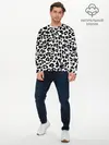 Мужской лонгслив базовый / Снежный Барс (P007_P004ooo2889245, P004ooo2889245)