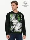 Мужской лонгслив базовый / Доктор Стоун Сенку (P007_P004ooo2892339, P004ooo2892339)