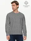 Мужской лонгслив базовый / Кольчуга (P007_P004ooo2895109, P004ooo2895109)
