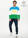 Мужской лонгслив базовый / Башкортостан (P007_P004ooo2895797, P004ooo2895797)