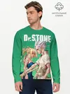 Мужской лонгслив базовый / Dr. Stone (P007_P004ooo2896793, P004ooo2896793)