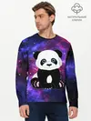 Мужской лонгслив базовый / Space Panda (P007_P004ooo2899573, P004ooo2899573)