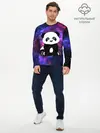 Мужской лонгслив базовый / Space Panda (P007_P004ooo2899573, P004ooo2899573)