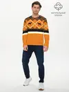 Мужской лонгслив базовый / Африканский Мотив (P007_P004ooo2899861, P004ooo2899861)