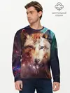 Мужской лонгслив базовый / WOLF (P007_P004ooo2903773, P004ooo2903773)