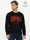 Мужской лонгслив базовый / DMX RIP (P007_P004ooo2907083, P004ooo2907083)