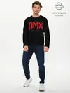 Мужской лонгслив базовый / DMX RIP (P007_P004ooo2907083, P004ooo2907083)