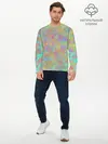 Мужской лонгслив базовый / Цветные лепестки (P007_P004ooo2911487, P004ooo2911487)