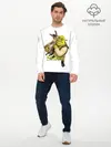 Мужской лонгслив базовый / Шрек и Осел Мультфильм (P007_P004ooo2911691, P004ooo2911691)