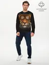 Мужской лонгслив базовый / TIGER (P007_P004ooo2912327, P004ooo2912327)