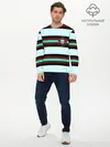 Мужской лонгслив базовый / Сборная Португалии. (P007_P004ooo2913433, P004ooo2913433)