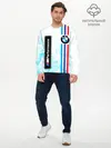 Мужской лонгслив базовый / BMW / БМВ / M PERFORMANCE (P007_P004ooo2916897, P004ooo2916897)