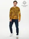 Мужской лонгслив базовый / Сусальное золото (P007_P004ooo2916567, P004ooo2916567)