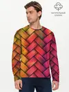 Мужской лонгслив базовый / Colorful weave (P007_P004ooo2922581, P004ooo2922581)