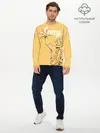 Мужской лонгслив базовый / Aang last airbender (P007_P004ooo2924137, P004ooo2924137)
