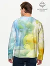 Мужской лонгслив базовый / Coloful Smoke (P007_P004ooo2928187, P004ooo2928187)