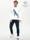 Мужской лонгслив базовый / кит (P007_P004ooo2930869, P004ooo2930869)