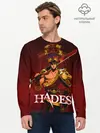 Мужской лонгслив базовый / Zagreus Hades (P007_P004ooo2933797, P004ooo2933797)