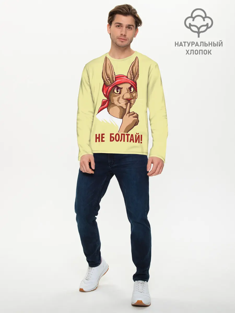 Мужской лонгслив базовый / Не болтай! (P007_P004ooo2935203, P004ooo2935203)