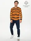 Мужской лонгслив базовый / Тигровый Раскрас (P007_P004ooo2937453, P004ooo2937453)