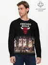 Мужской лонгслив базовый / CHICAGO BULLS [3] (P007_P004ooo2941847, P004ooo2941847)