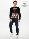 Мужской лонгслив базовый / CHICAGO BULLS [3] (P007_P004ooo2941847, P004ooo2941847)