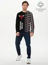 Мужской лонгслив базовый / CHICAGO BULLS [7] (P007_P004ooo2941875, P004ooo2941875)