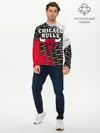 Мужской лонгслив базовый / CHICAGO BULLS [6] (P007_P004ooo2941877, P004ooo2941877)