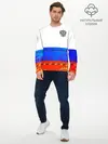 Мужской лонгслив базовый / Russia 3 (P007_P004ooo2943829, P004ooo2943829)