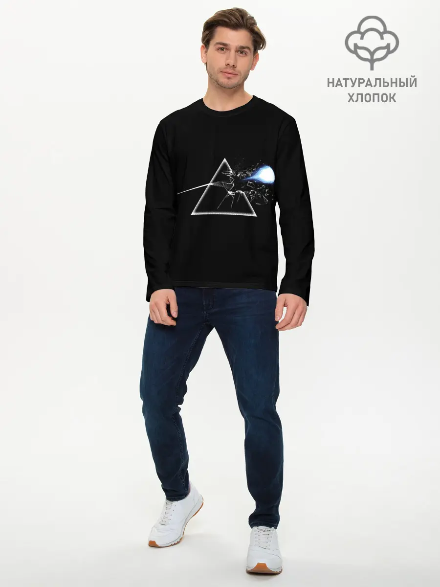 Мужской лонгслив базовый / Pink floyd x Street Fighter (P007_P004ooo2950085, P004ooo2950085)