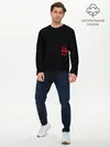 Мужской лонгслив базовый / Панда и сон (P007_P004ooo2955439, P004ooo2955439)