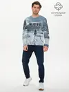 Мужской лонгслив базовый / Элли в деревне (P007_P004ooo2955529, P004ooo2955529)