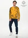Мужской лонгслив базовый / Сплющенная сфера (P007_P004ooo2956225, P004ooo2956225)