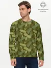 Мужской лонгслив базовый / Скейтборды (P007_P004ooo2957053, P004ooo2957053)