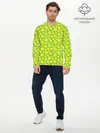 Мужской лонгслив базовый / Теннисные Мячики (P007_P004ooo2956745, P004ooo2956745)