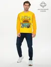 Мужской лонгслив базовый / Simpsons nation (P007_P004ooo2959499, P004ooo2959499)